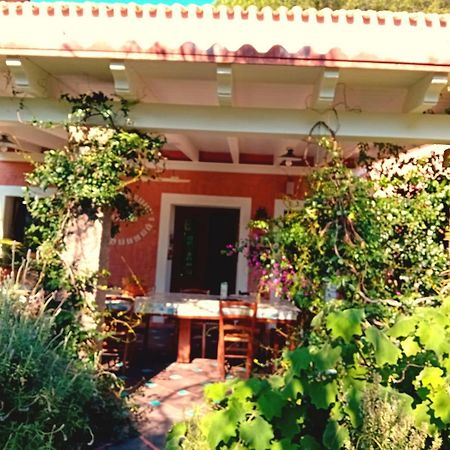 Villa La Fattoria Delle Tartarughe San Gregorio  Exterior foto